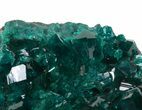 Exceptional Gemmy Dioptase Cluster - Namibia #44661-3